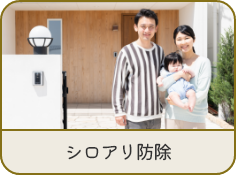 シロアリ防除