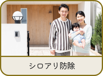 シロアリ防除