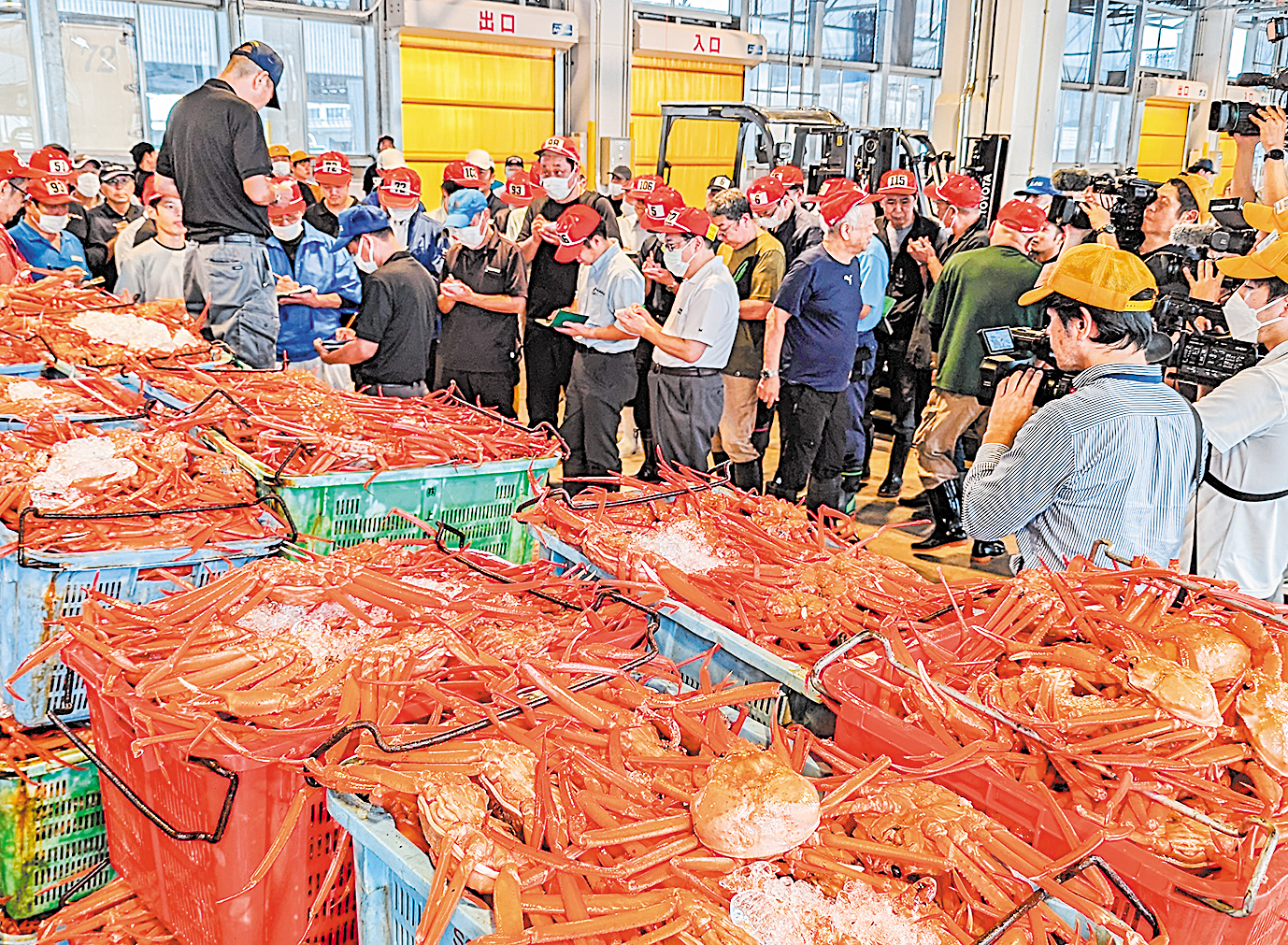 専用　差込式行先板「丹後カニスキ 網野行(宮福線経由)／カニスキ 大阪行(同)」 専用 差込式行先板「丹後カニスキ 網野行(宮福線経由)／カニスキ