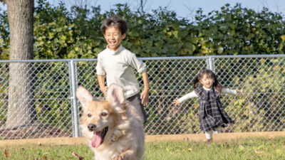 南大阪最大級の「ドッグラン」でワンちゃんものびのび♪ 「堺・緑のミュージアム ハーベストの丘」（大阪府堺市）