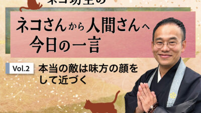 ネコ坊主の「ネコさんから人間さんへ今日の一言」Vol.2