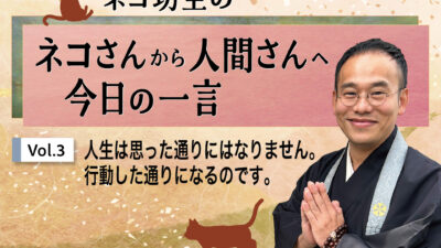 ネコ坊主の「ネコさんから人間さんへ今日の一言」Vol.3
