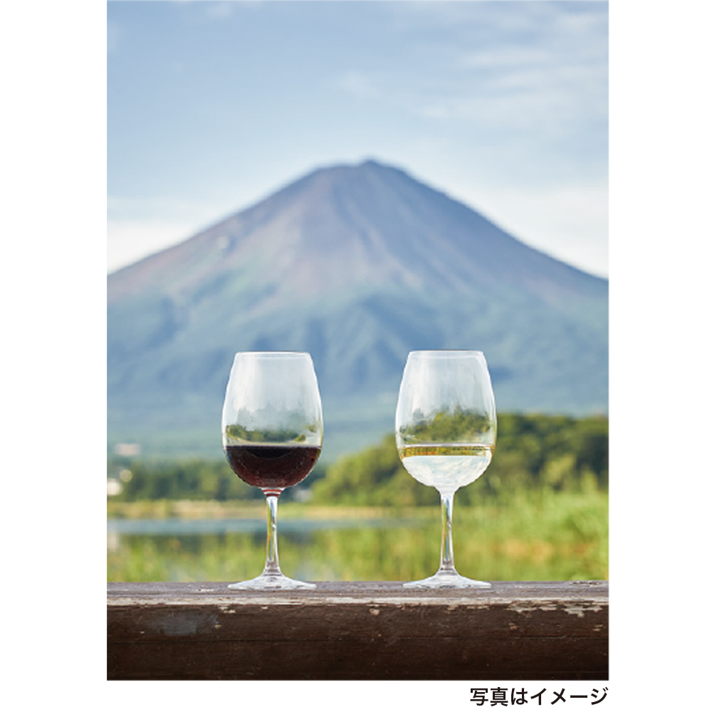  〈山梨県産ワインセット〉