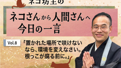 ネコ坊主の「ネコさんから人間さんへ今日の一言」Vol.8
