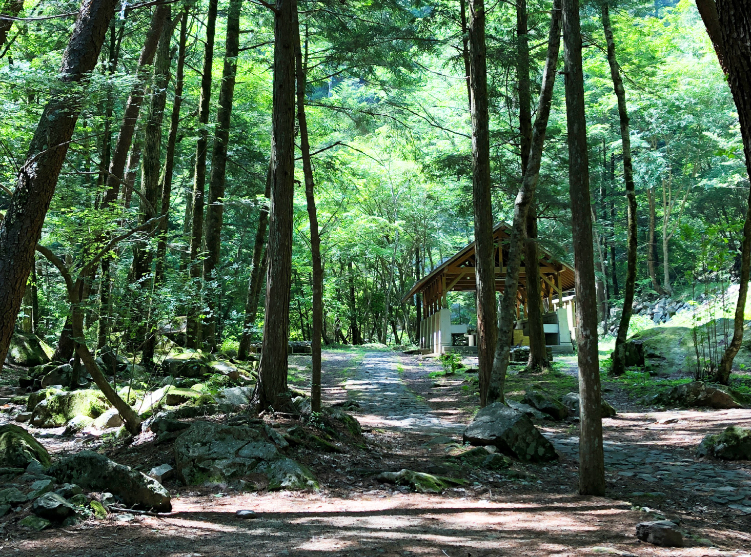 愛媛 ✽ 国定公園70周年 絶好の避暑スポット ✽ 面河渓（おもごけい