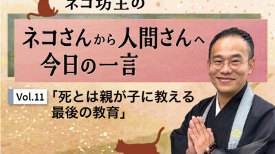 ネコ坊主の「ネコさんから人間さんへ今日の一言」Vol.11