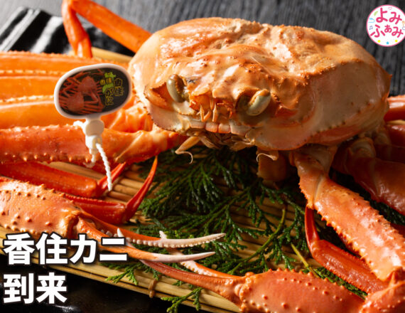 休暇村　竹野海岸　香住カニ