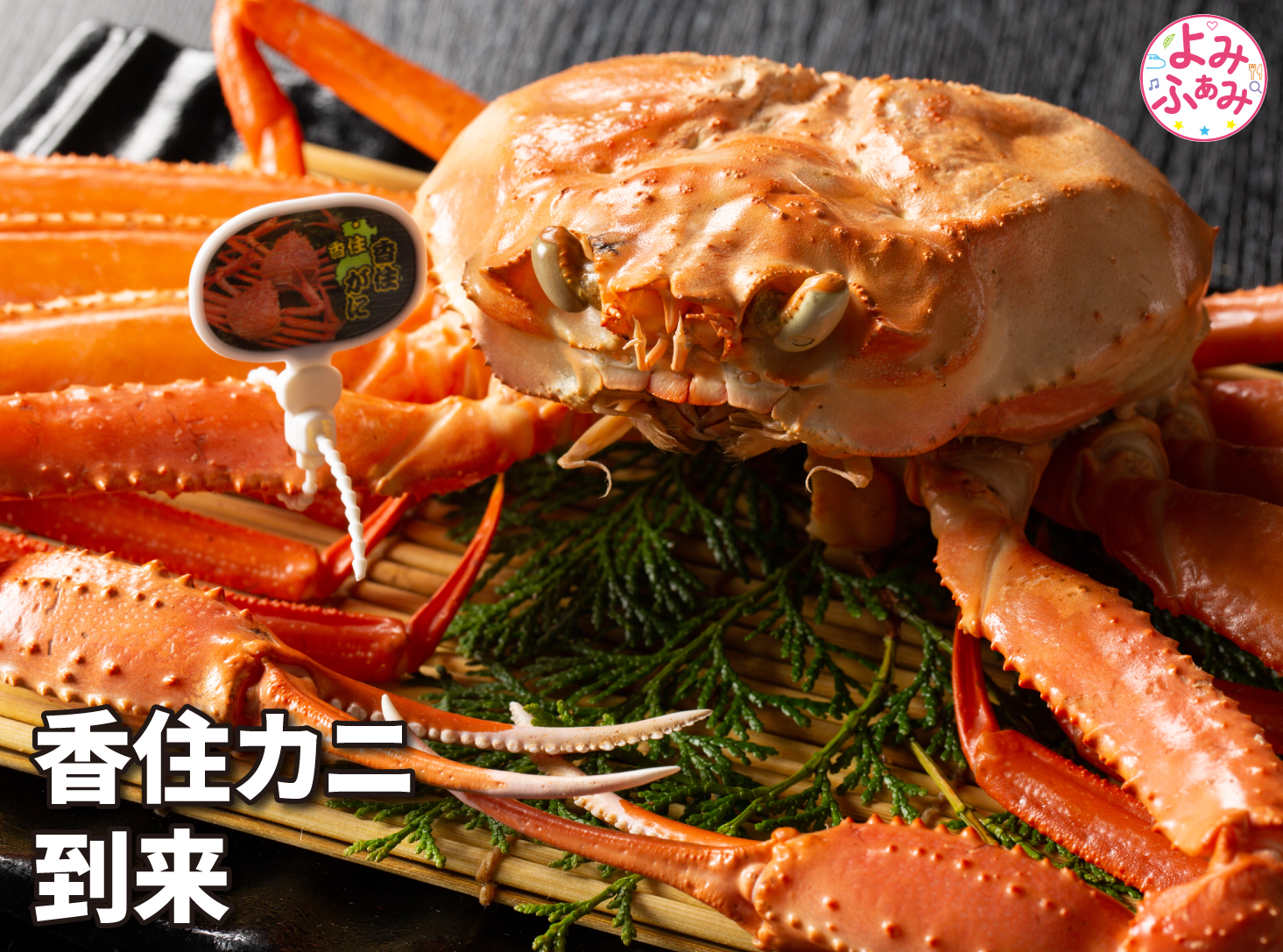 休暇村　竹野海岸　香住カニ