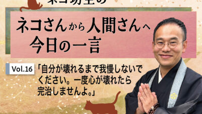 ネコ坊主の「ネコさんから人間さんへ今日の一言」Vol.16 自分が壊れるまで我慢しないでください。一度心が壊れたら完治しませんよ。