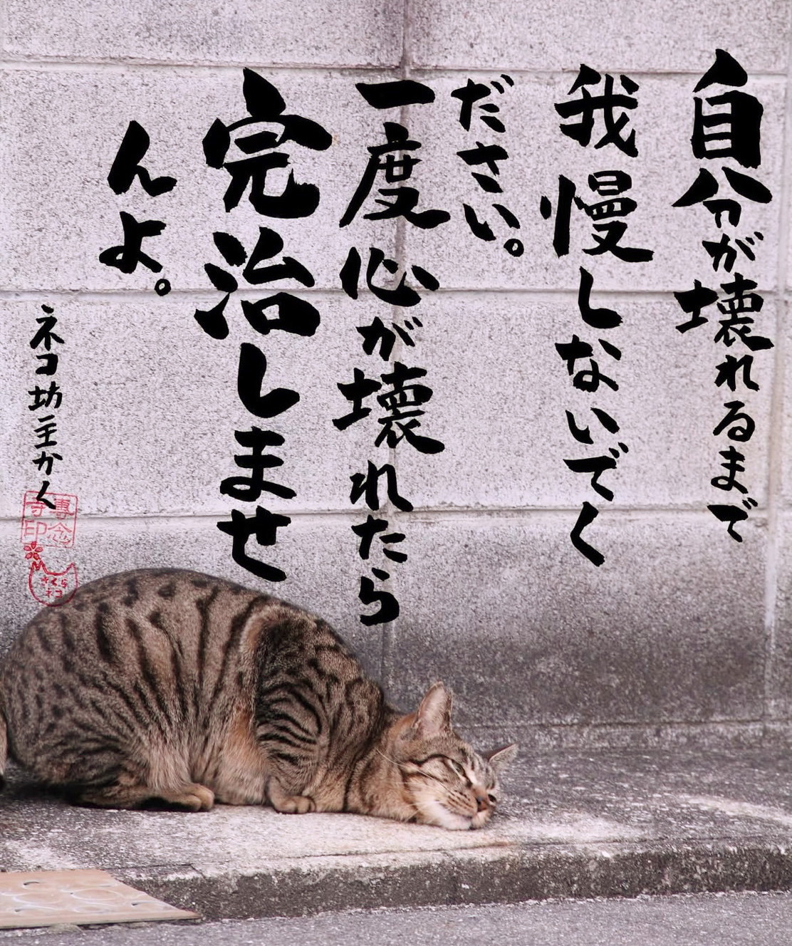 ブロック塀の前で眠るネコ_「自分が壊れるまで我慢しないでください。」ネコ坊主かく