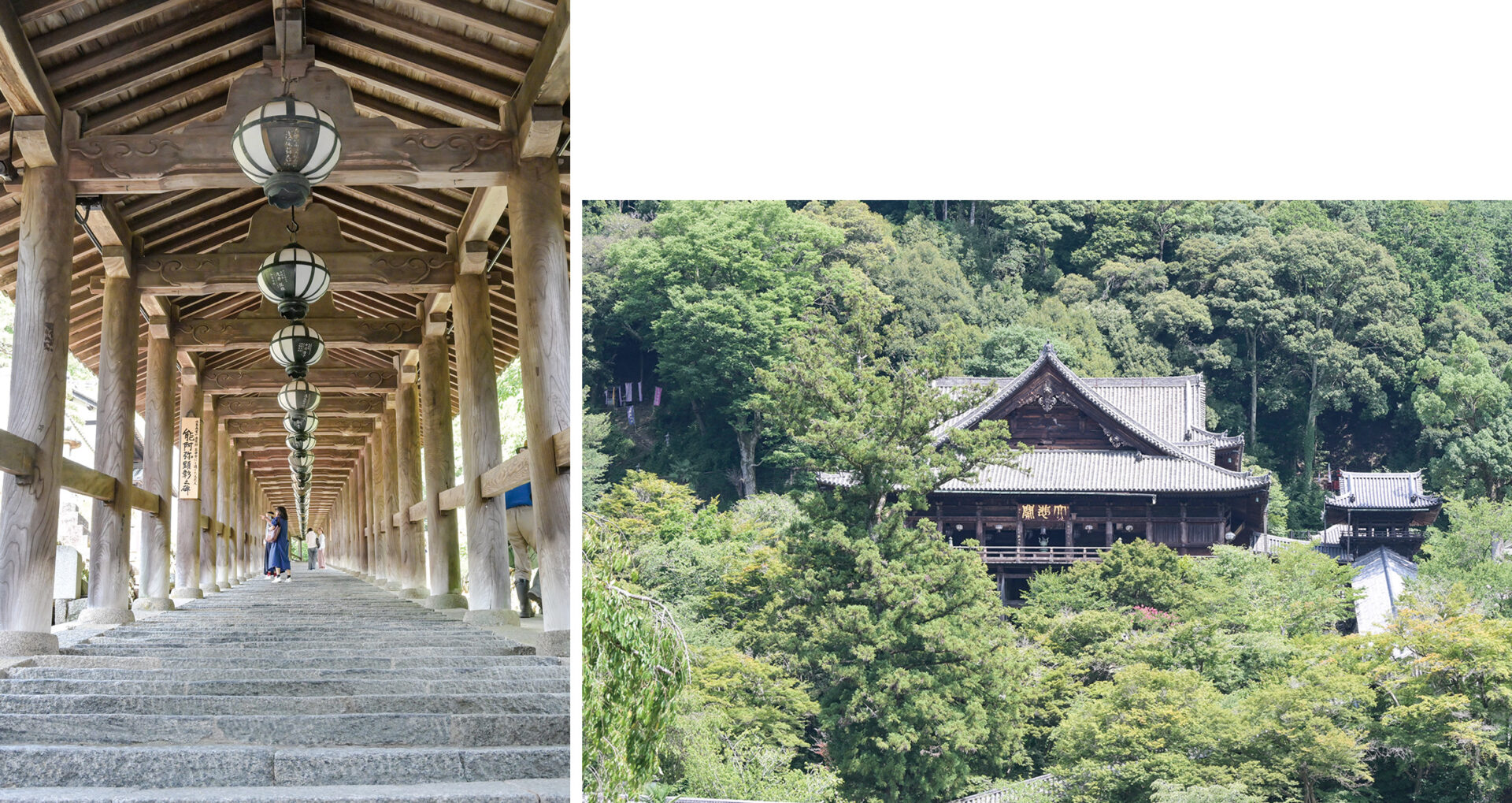 西国三十三所　第八番札所長谷寺の登廊と本堂