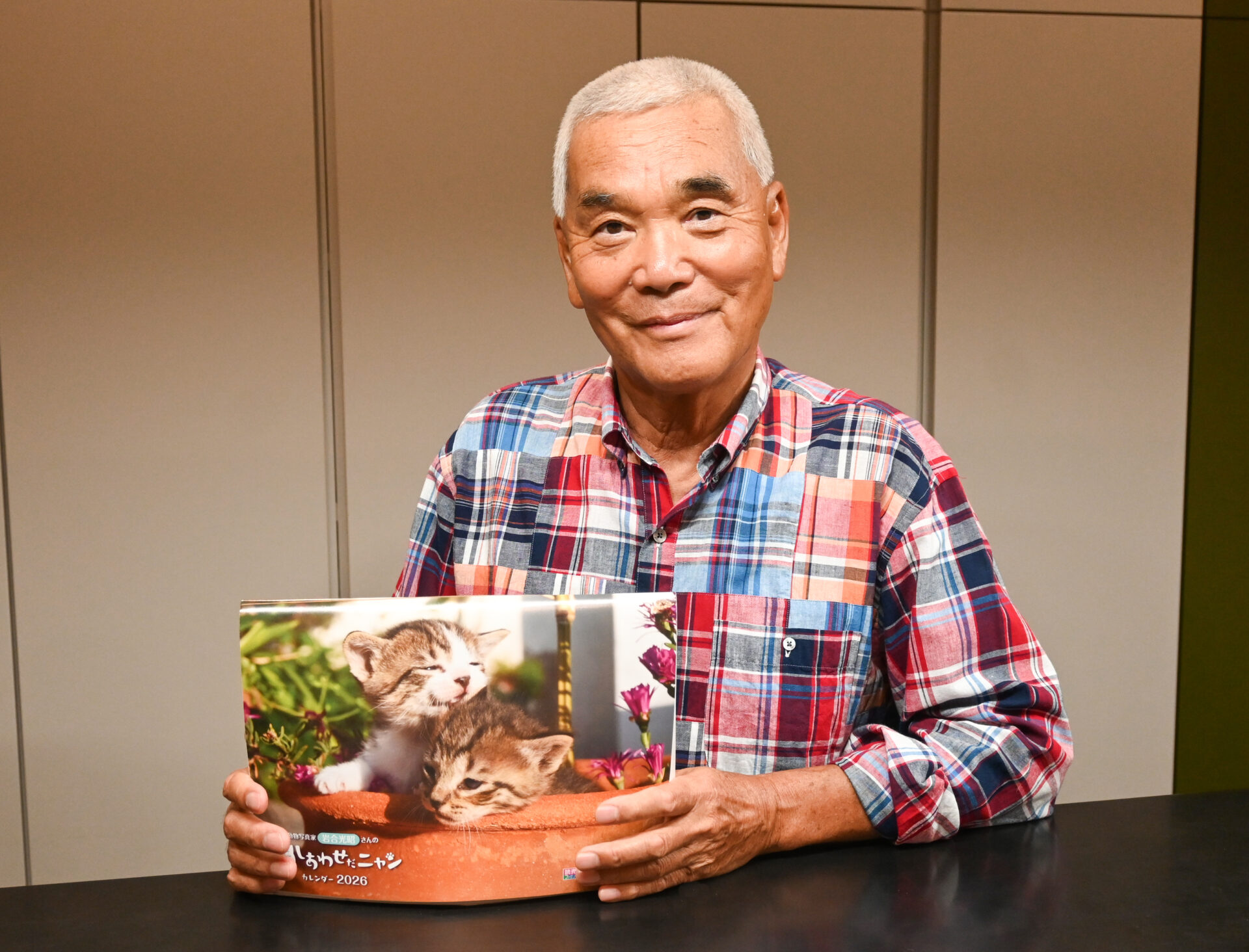こねこ日和で笑顔をお届け＊「こねこ日和 しあわせだニャン」動物写真 