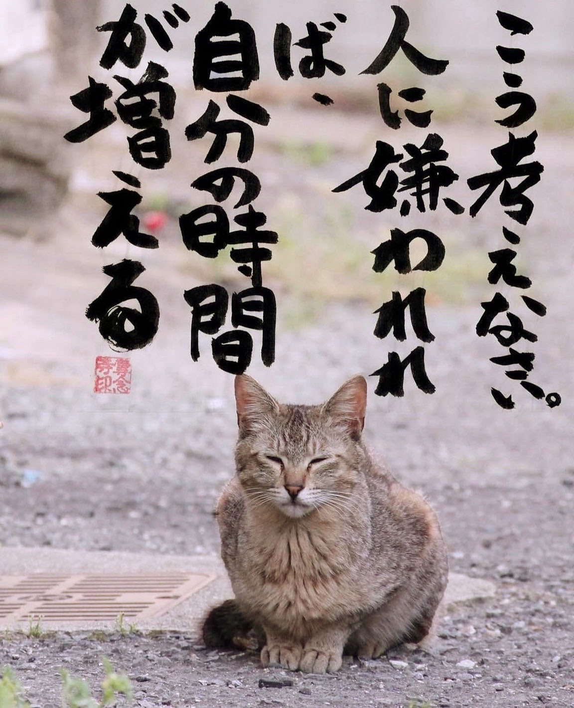 道端に目を細めて座るネコ_[こう考えなさい。人に嫌われれば、自分の時間が増える」ネコ坊主かく