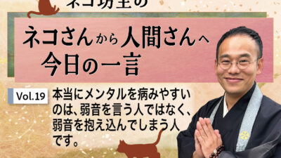 ネコ坊主の「ネコさんから人間さんへ今日の一言」Vol.19 本当にメンタルを病みやすいのは、弱音を言う人ではなく、弱音を抱え込んでしまう人です。