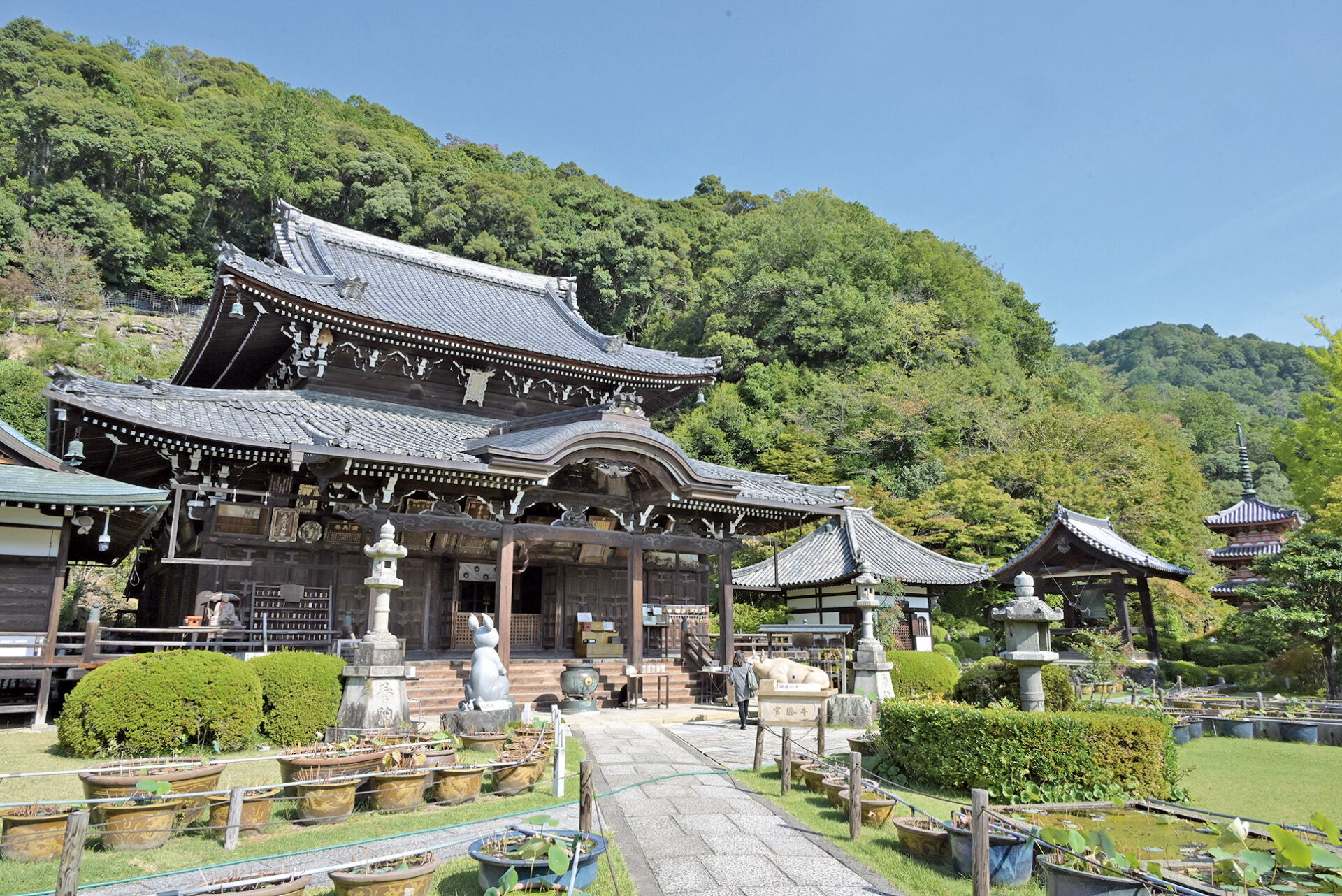 再訪 西国三十三所 第十番札所「明星山 三室戸寺」 - よみふぁみ｜お得 