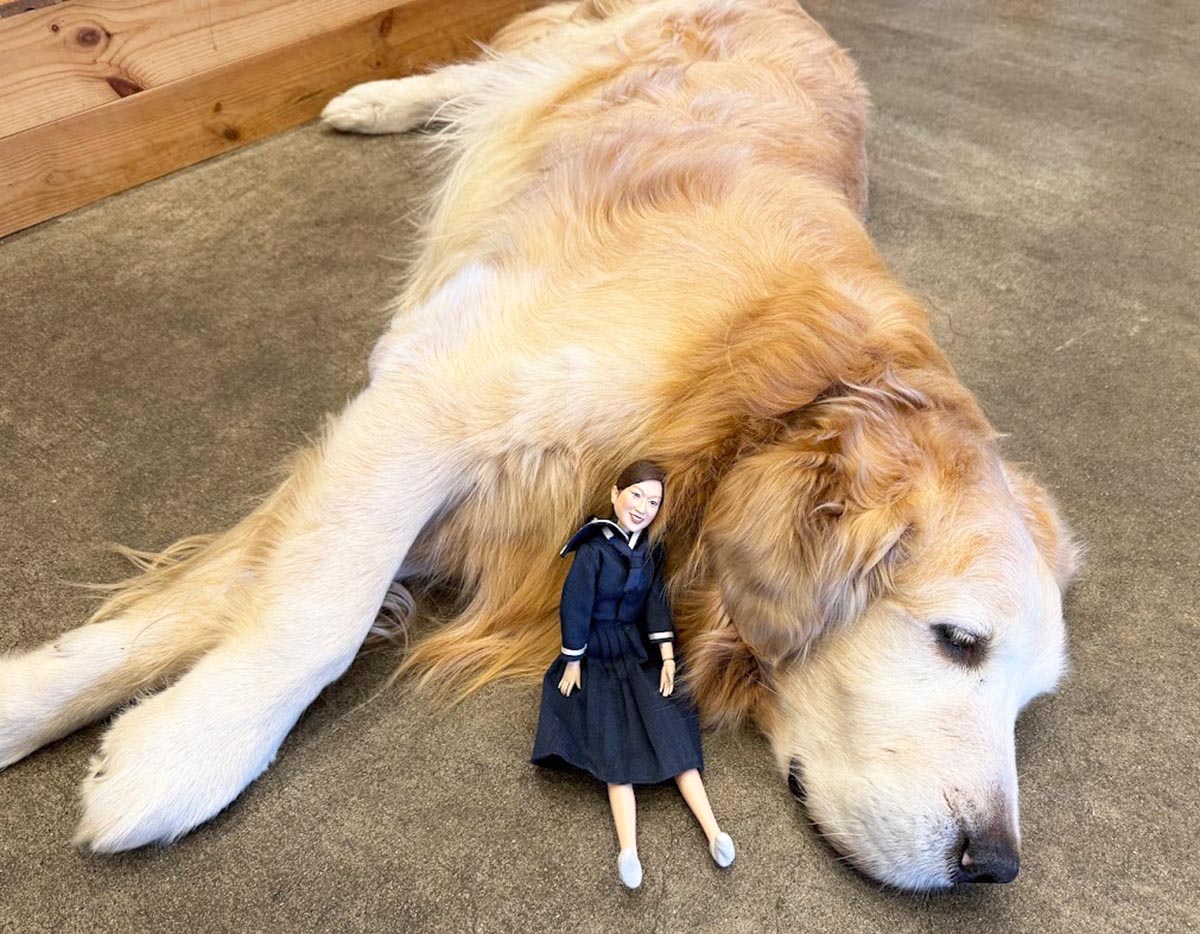 ごほうび旅井上かなえ メイ子と犬のサスケ