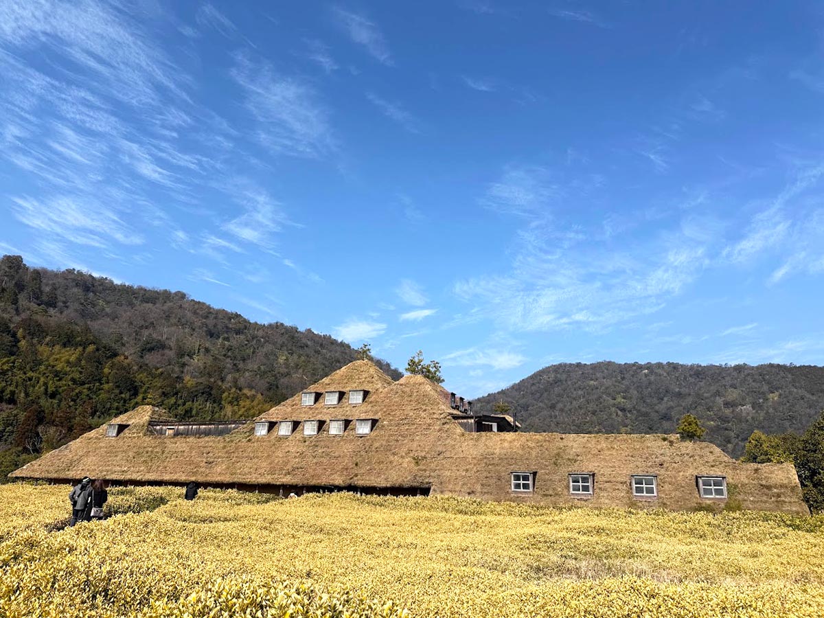 ごほうび旅井上かなえ　ラコリーナ近江八幡