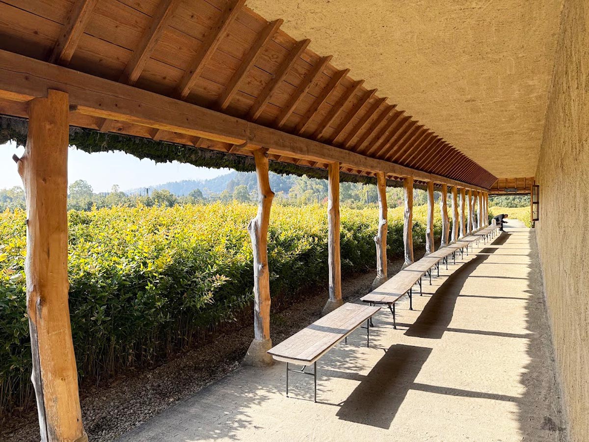 ごほうび旅井上かなえ　ラコリーナ近江八幡