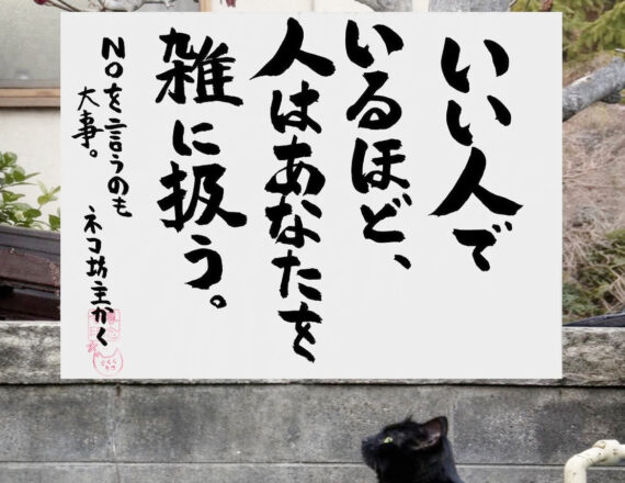 ネコ坊主の今日の一言イメージ