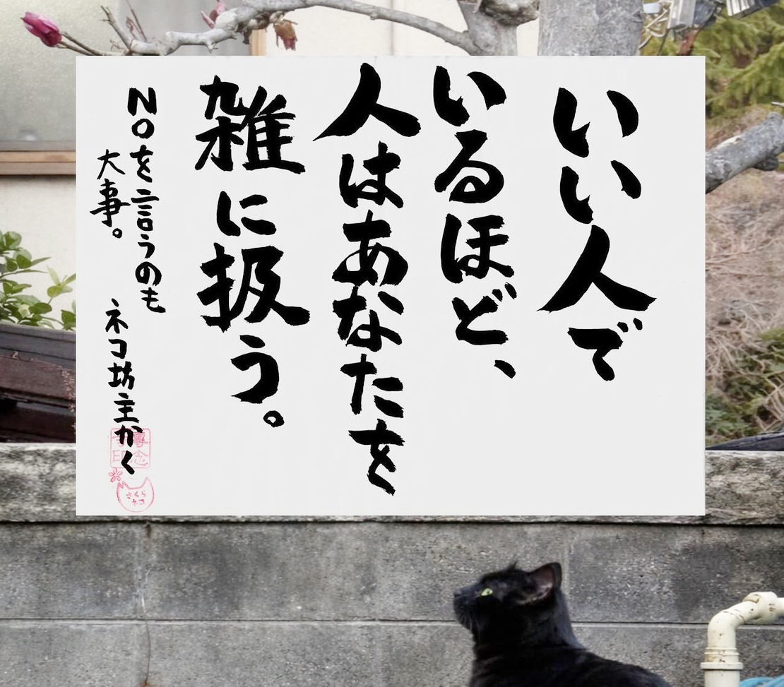 ネコ坊主の今日の一言イメージ