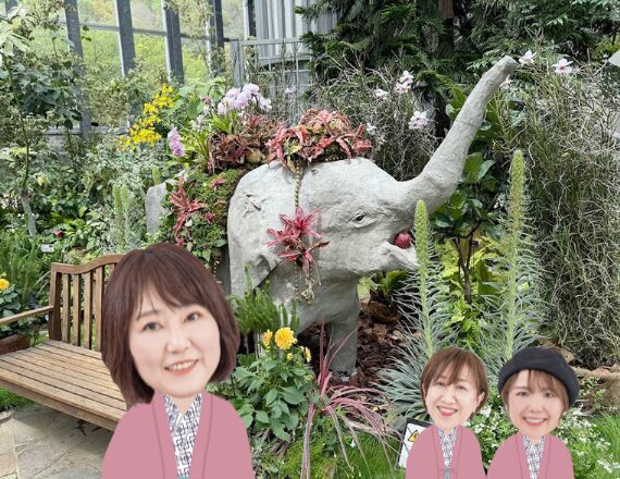 ごほうび旅　井上かなえさん　兵庫県淡路市　グランドニッコー淡路