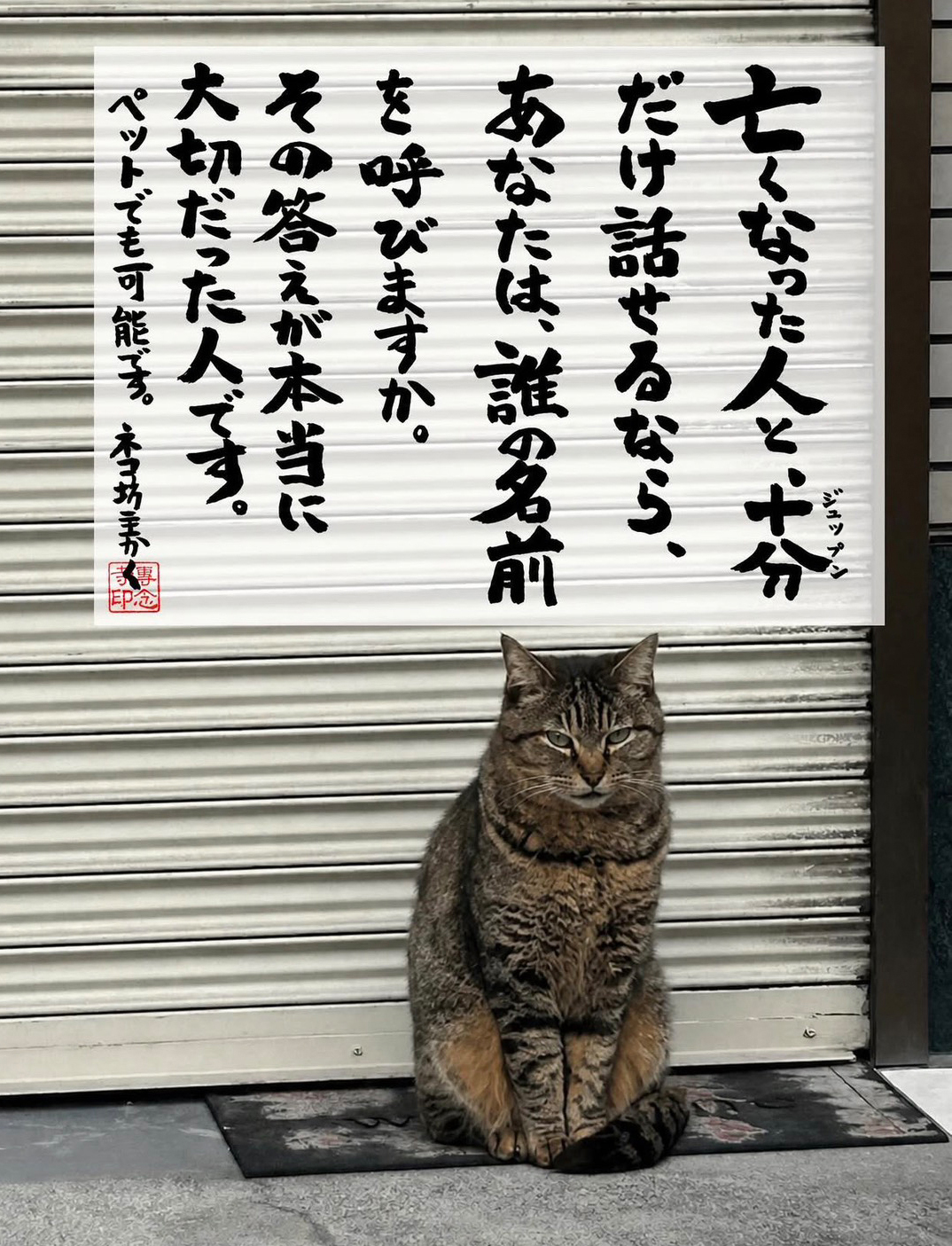 シャッターの前に座るネコ_「亡くなった人と、十分だけ話せるなら、あなたは、誰の名前を呼びますか。その答えが本当に大切だった人です。ペットでもかのうです。」ネコ坊主かく