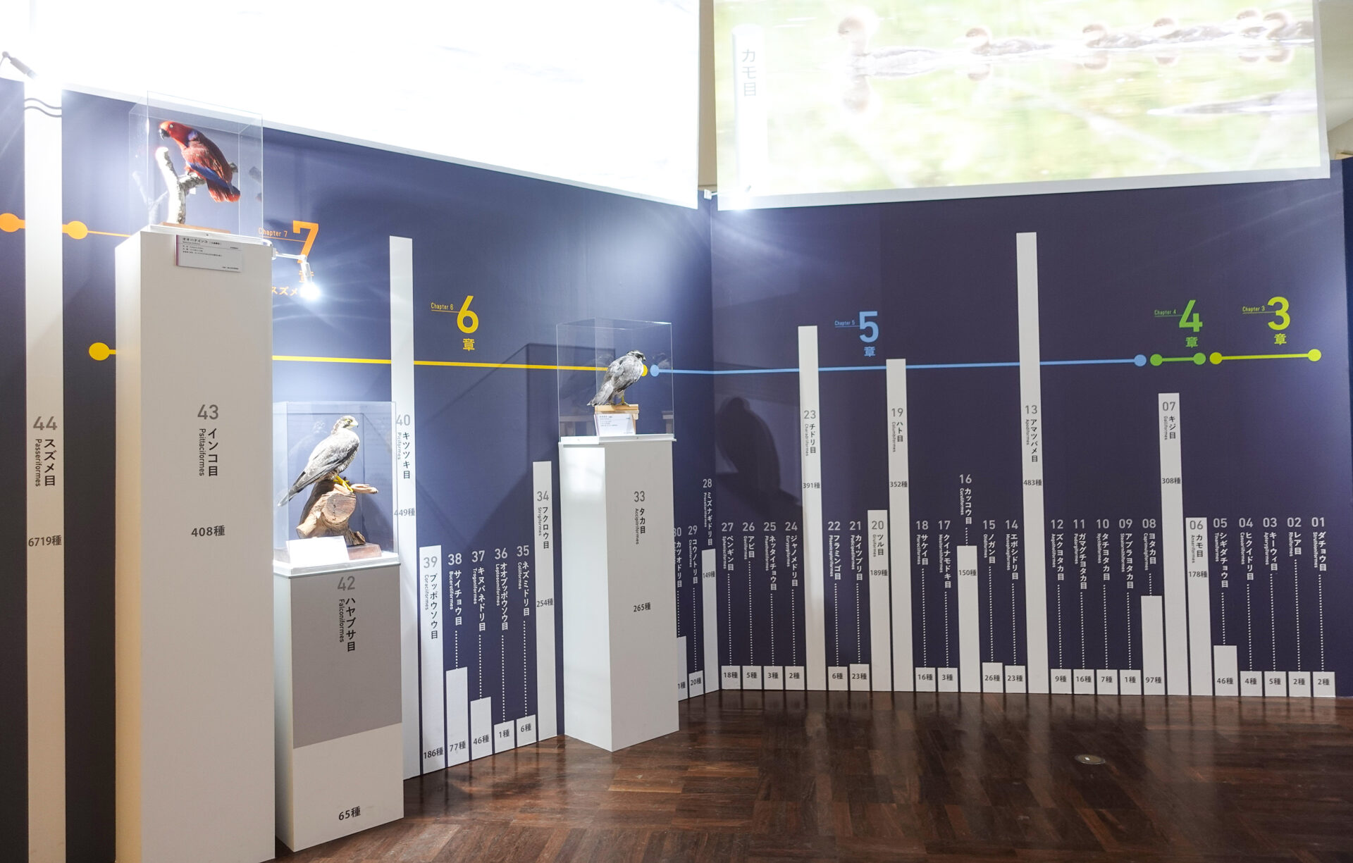 鳥展1