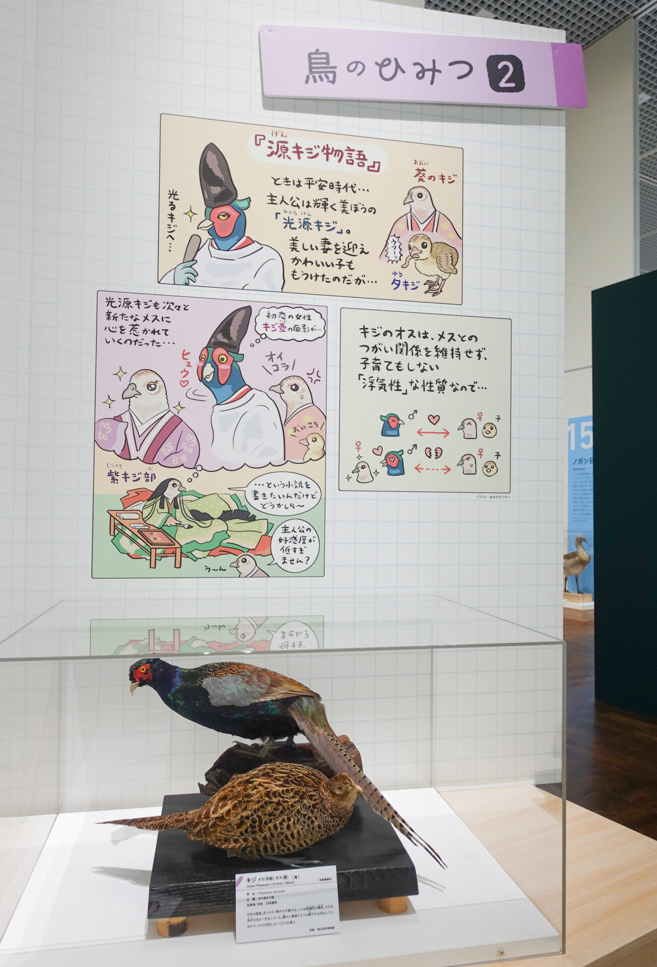 鳥展2