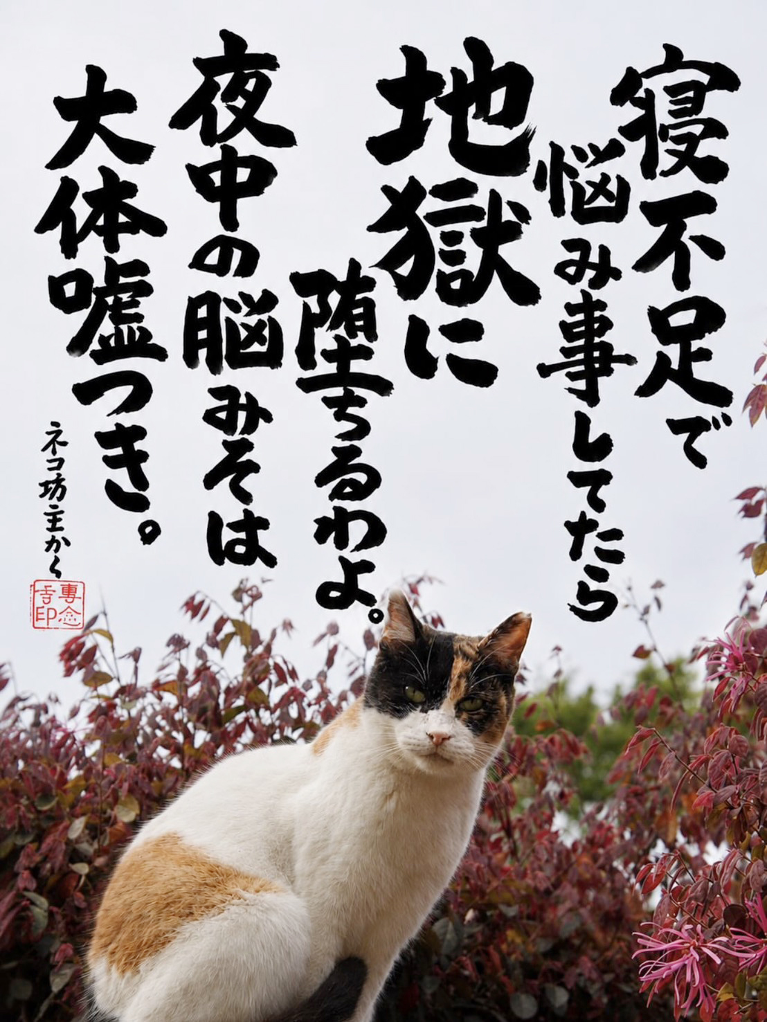 生垣の前座ってこちらを見るネコ_「寝不足で悩み事をしてたら地獄に堕ちるわよ。夜中の脳みそは大体嘘つき。」ネコ坊主かく