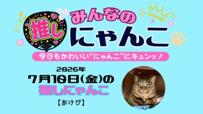 愛猫「あけび」のかわいい日常｜みんなの推しにゃんこ【2026年7月10日（金）】