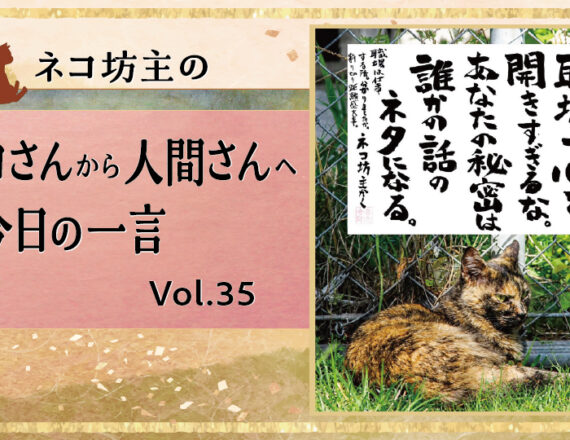 職場で心を開きすぎるな。あなたの秘密は誰かの話のネタになる。｜ネコ坊主の今日の一言 Vol.35　