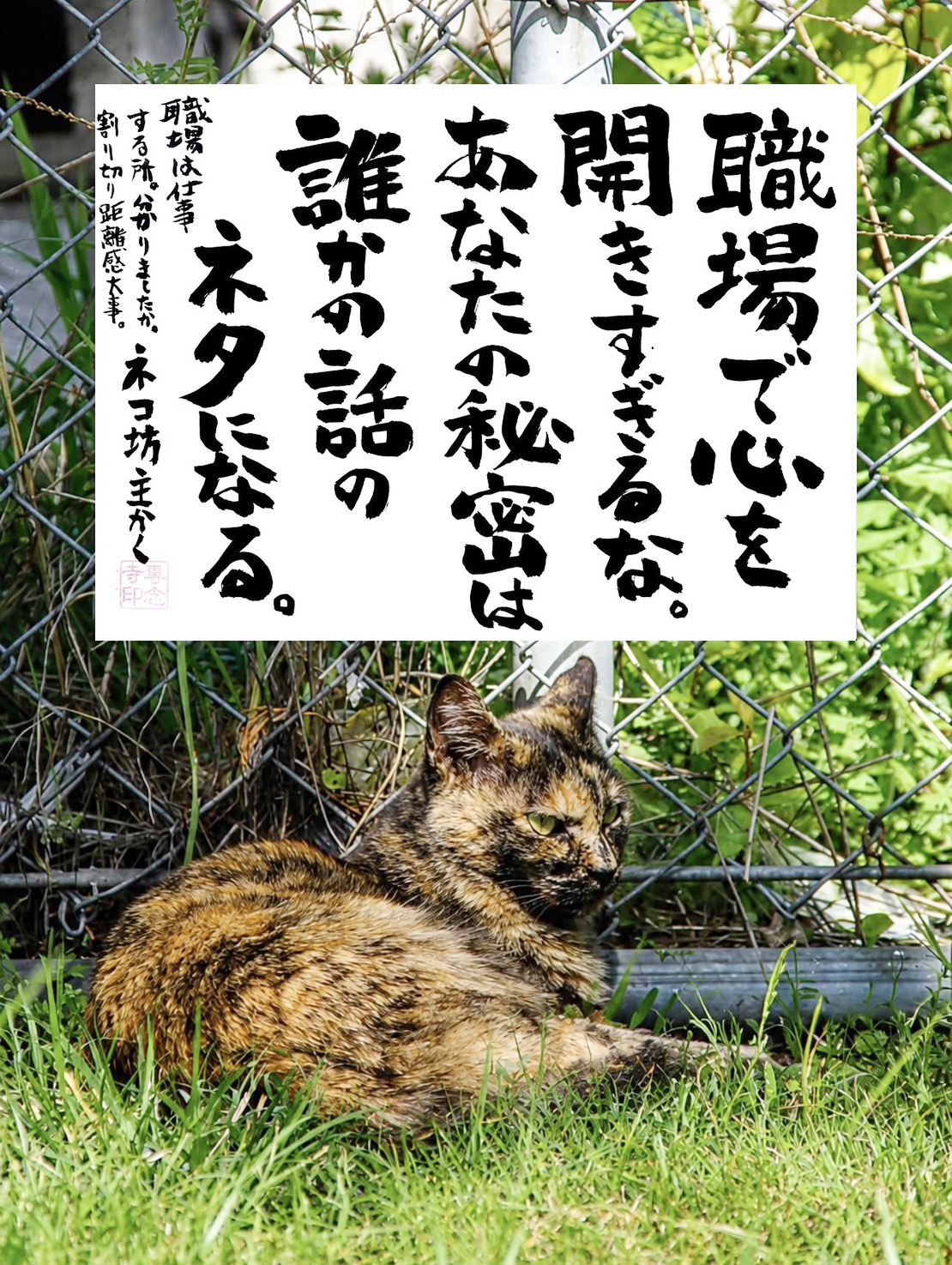 ネコ坊主の「ネコさんから人間さんへ今日の一言」Vol.35 職場で心を開きすぎるな。あなたの秘密は誰かの話のネタになる。 ネコ坊主かく