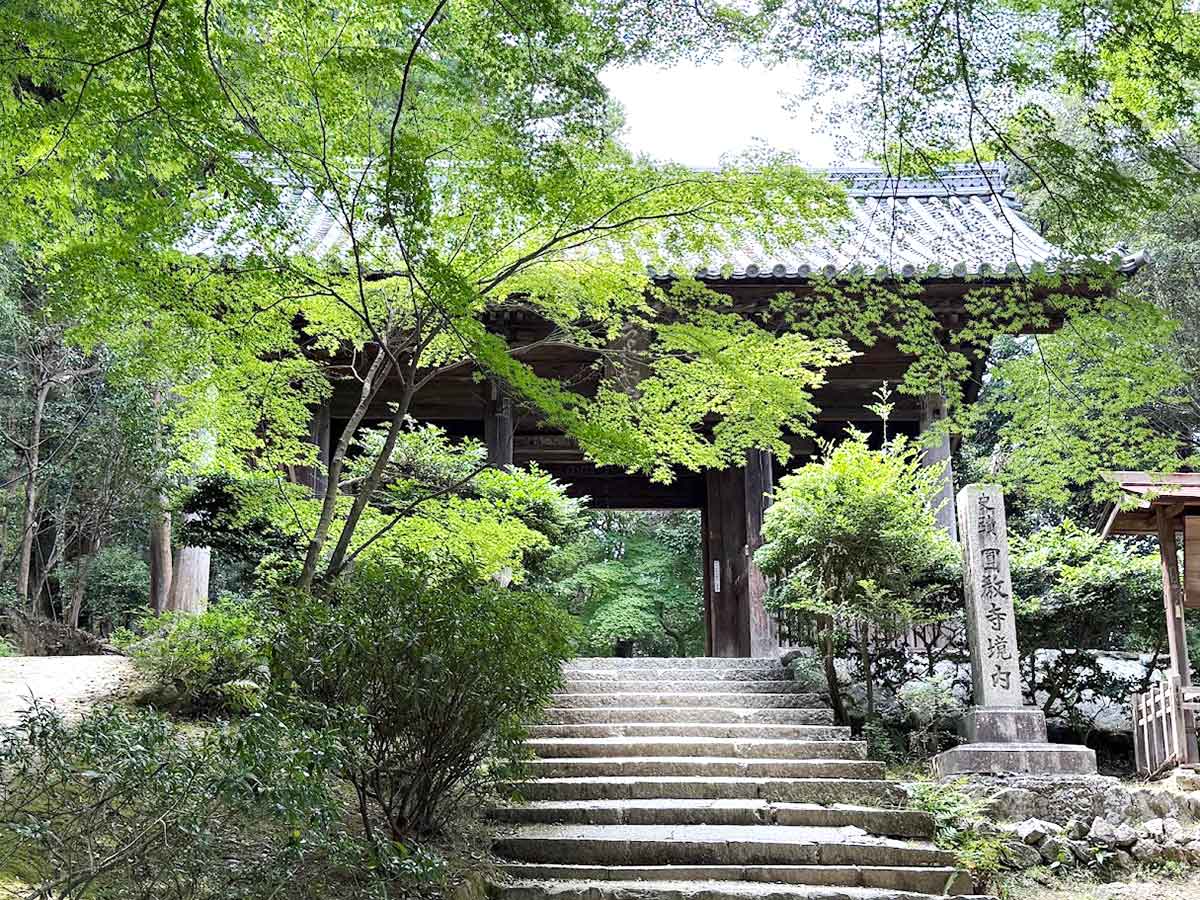 井上かなえさんごほうび旅 夢乃井