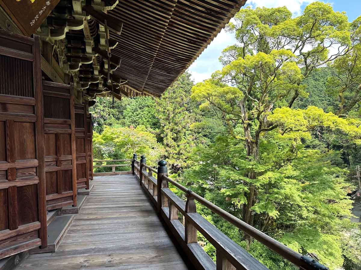 井上かなえさんごほうび旅 夢乃井