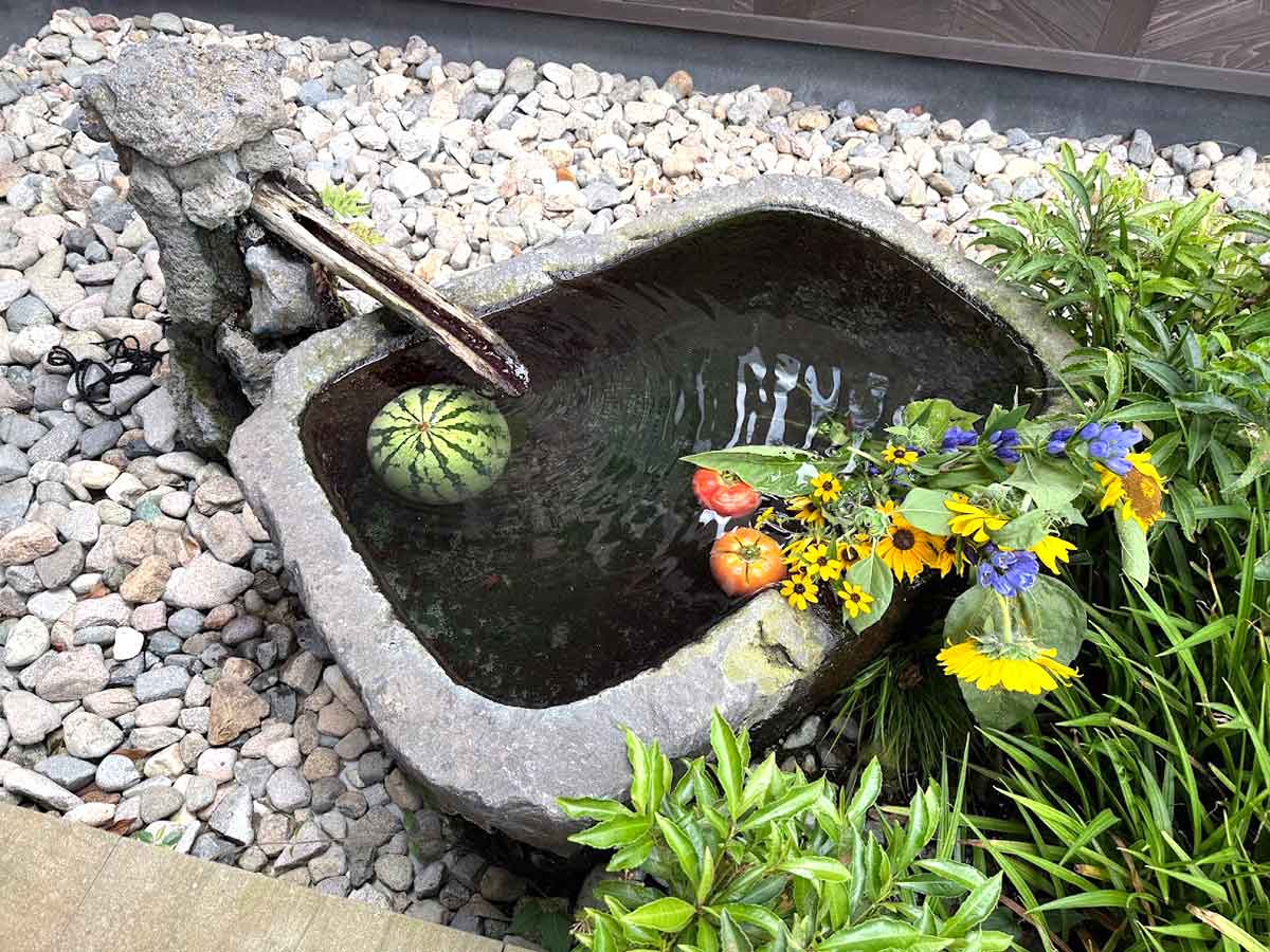 井上かなえさんごほうび旅 夢乃井