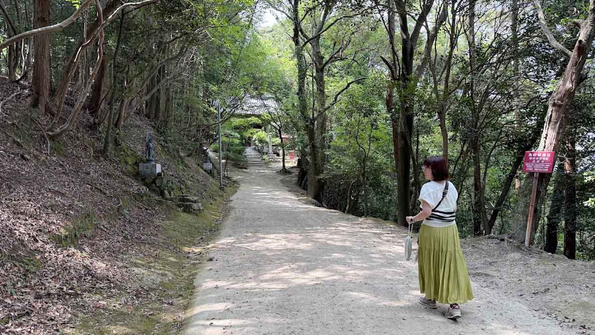 井上かなえさんごほうび旅 夢乃井