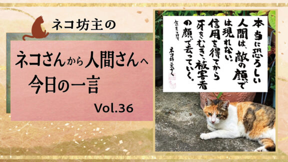 本当に恐ろしい人間は、敵の顔では現れない。信用を得てから牙をむき、被害者の顔で去っていく。｜ネコ坊主の今日の一言 Vol.36　