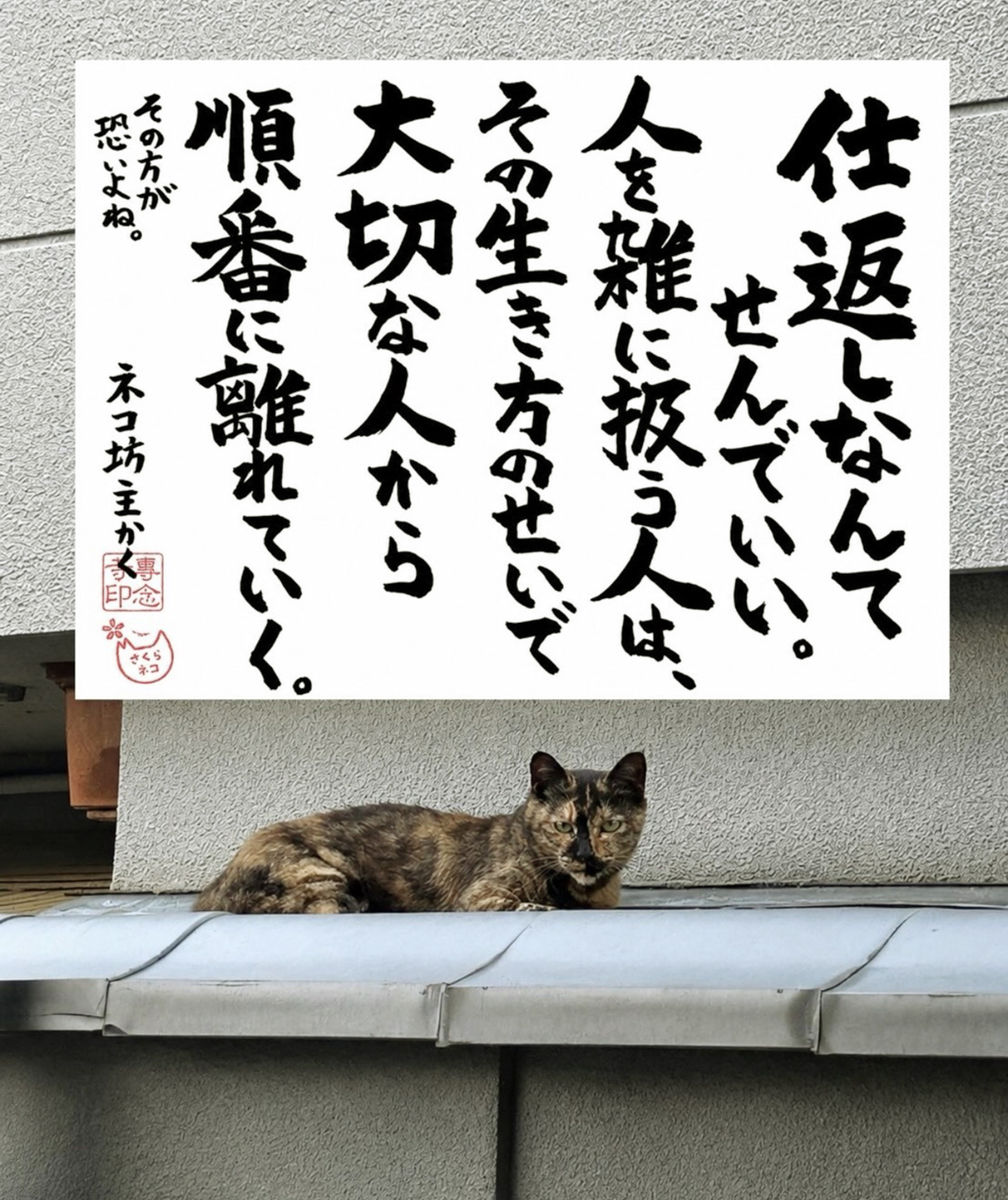 ネコ坊主の「ネコさんから人間さんへ今日の一言」Vol.37 仕返しなんてせんでいい。人を雑に扱う人は、その生き方のせいで大切な人から順番に離れていく。その方が怖いよね。 ネコ坊主かく