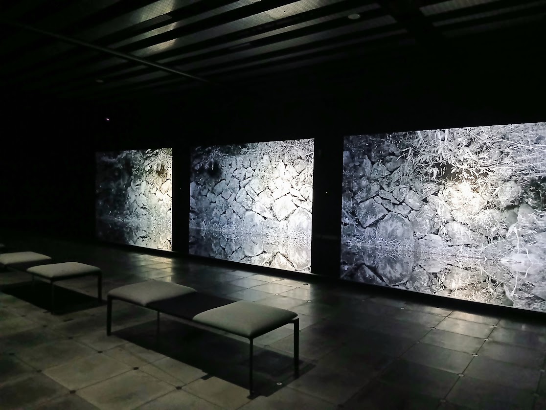 展示2