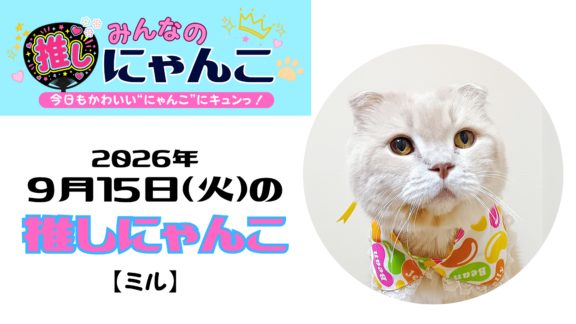 愛猫「ミル」のかわいい日常｜みんなの推しにゃんこ｜猫写真【2026年9月15日（火）】