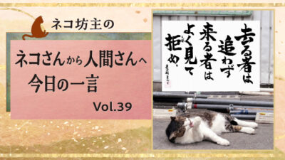 去る者は追わず 来るものはよく見て拒め。｜ネコ坊主の今日の一言 Vol.39　