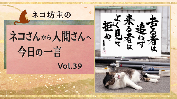 去る者は追わず 来るものはよく見て拒め。｜ネコ坊主の今日の一言 Vol.39　