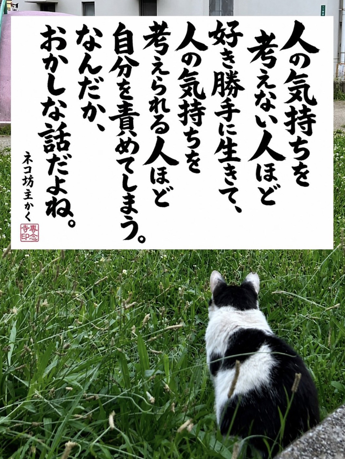 ネコ坊主の「ネコさんから人間さんへ今日の一言」Vol.38　人の気持ちを考えない人ほど好き勝手に生きて、人の気持ちを考える人ほど自分を責めてしまう。なんだか、おかしな話だよね。ネコ坊主かく