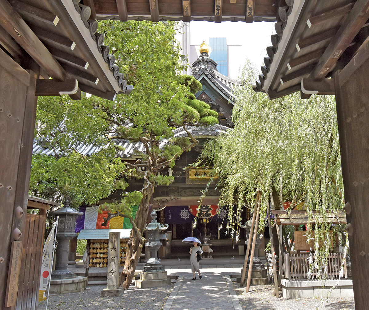 西国三十三所第十八番札所紫雲山_頂法寺_メーン