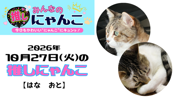 愛猫「はな　おと」のかわいい日常｜みんなの推しにゃんこ｜猫写真【2026年10月27日（火）】