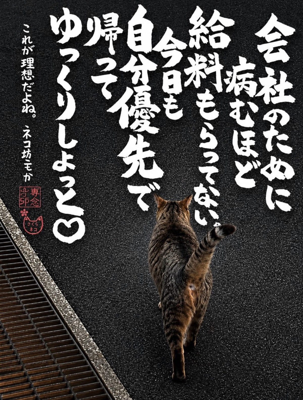 ネコ坊主の「ネコさんから人間さんへ今日の一言」Vol.40 会社のために病むほど給料もらっていない。今日も自分優先で帰ってゆっくりしよっと♡ これが理想だよね。ネコ坊主かく