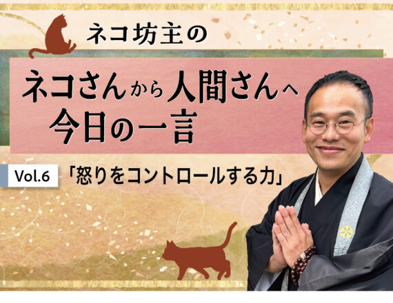 ネコ坊主　ネコさんから人間さんへの今日の一言　ネコ坊主_怒りをコントロールする力